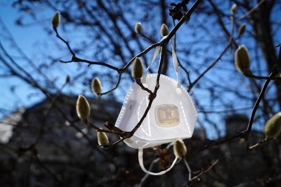 悬挂在树枝上的口罩图片 悬挂在树枝上的口罩图片