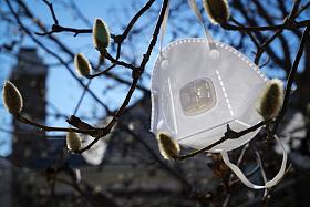 悬挂在树枝上的口罩图片