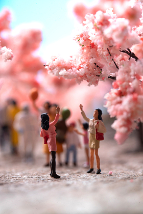 樱花树下的医护人员和游客图片