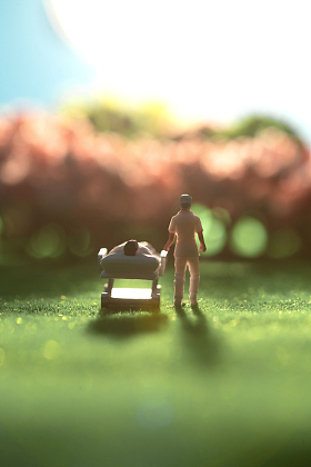 阳光下护士陪着病人赏樱花照片