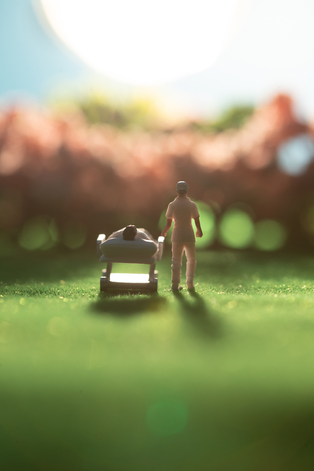 阳光下护士陪着病人赏樱花图片