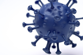 一个病毒局部特写图片