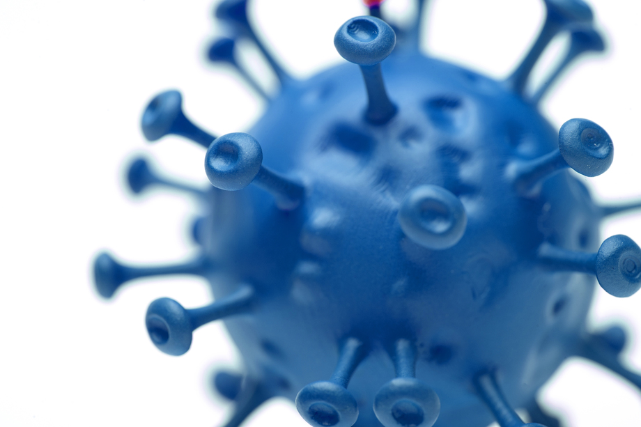 一个病毒局部特写