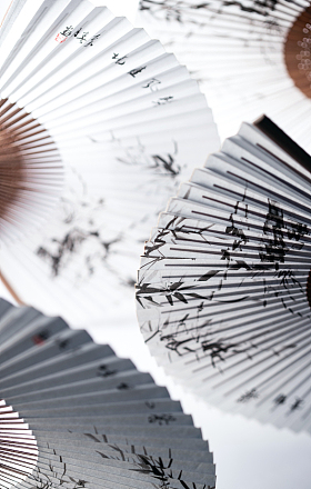 油纸伞和折扇照片