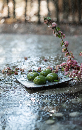 雨中的青团照片