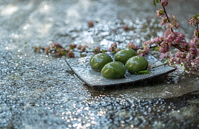 雨中的青团和桃花枝图片