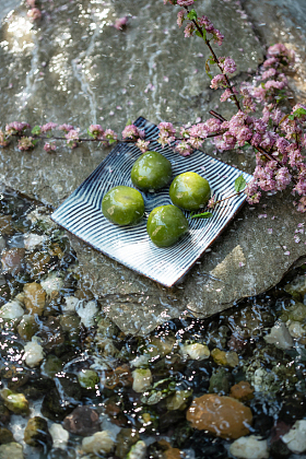 水面上的青团和桃花枝