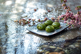 水面石板上的青团和桃花照片