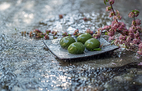 雨中石板上的青团和桃花图片