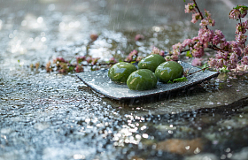 雨中石板上的青团和桃花