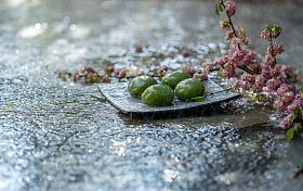 雨中水面上的青团和桃花