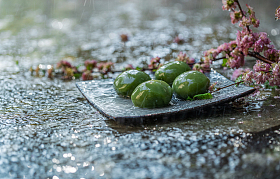 雨中的青团和桃花图片