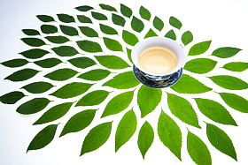 绿色的茶叶和茶杯照片