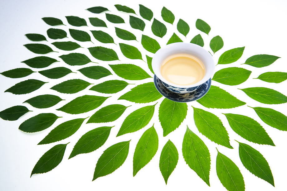 绿色的茶叶和茶杯照片