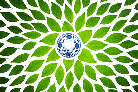 绿色的茶叶和茶杯照片