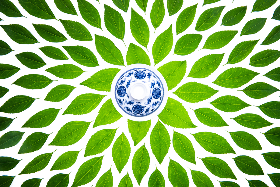 绿色的茶叶和茶杯照片