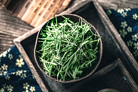茶盘里的茶叶