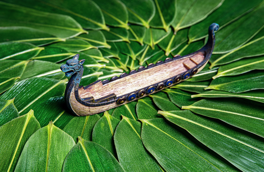 粽叶和龙舟 粽叶和龙舟