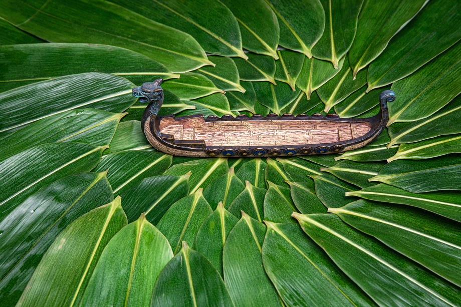 粽叶和龙舟图片 粽叶和龙舟图片