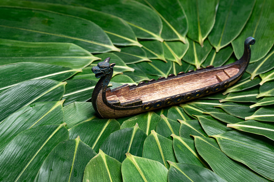 粽叶和龙舟 粽叶和龙舟