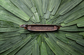 粽叶和龙舟图片