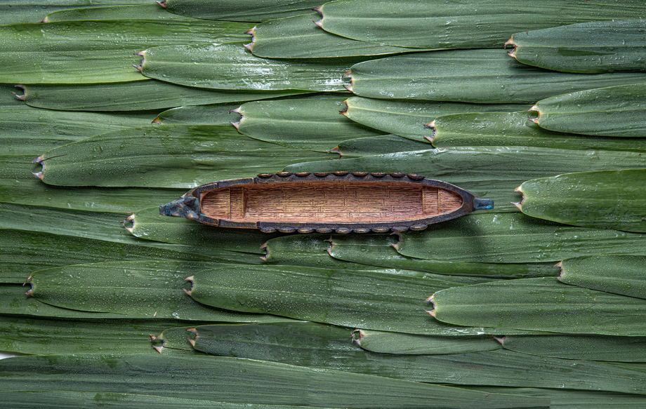 粽叶和龙舟照片 粽叶和龙舟照片