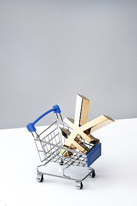 购物车模型里的货币标志