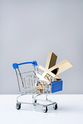 购物车模型里的货币标志