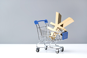 购物车模型里的货币标志