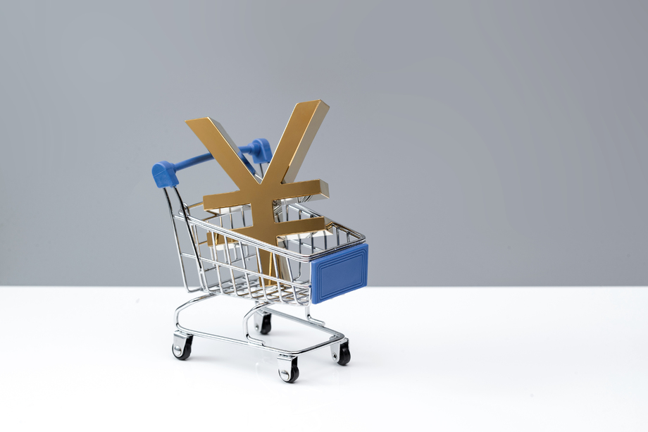 购物车模型里的货币标志 购物车模型里的货币标志