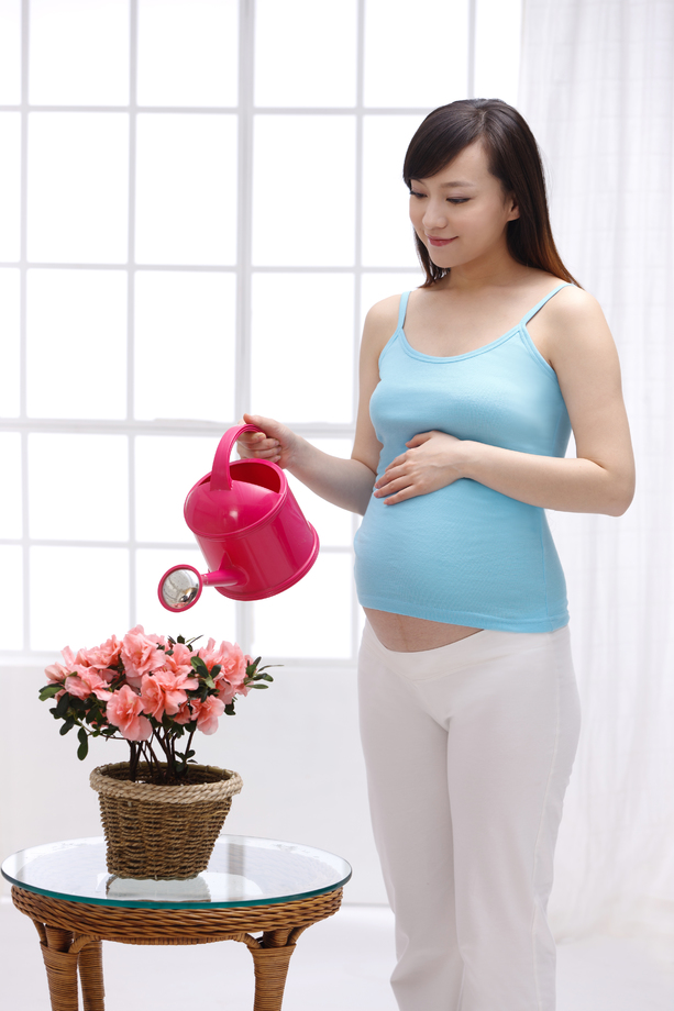 孕妇浇花 孕妇浇花