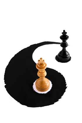 太极符号象棋图片