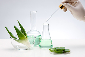科学试验芦荟图片