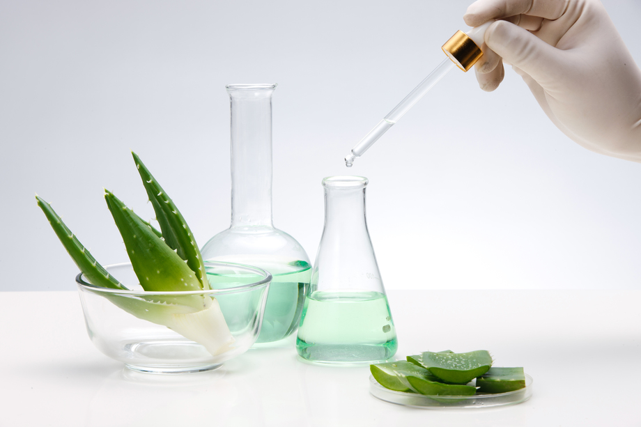 科学试验芦荟图片