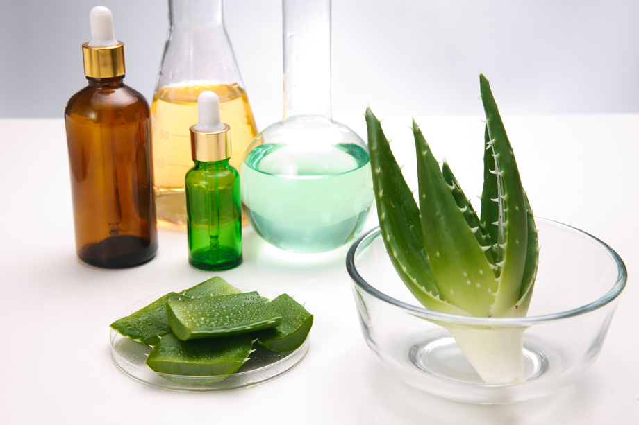 科学试验芦荟图片 科学试验芦荟图片