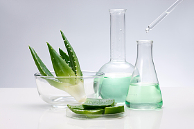 科学试验芦荟图片