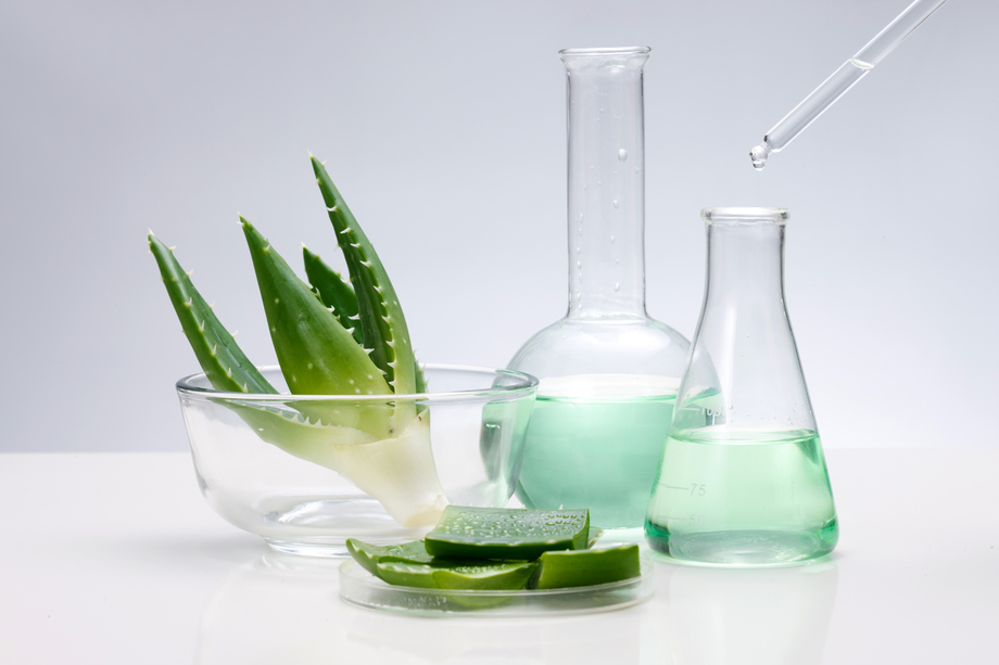 科学试验芦荟图片