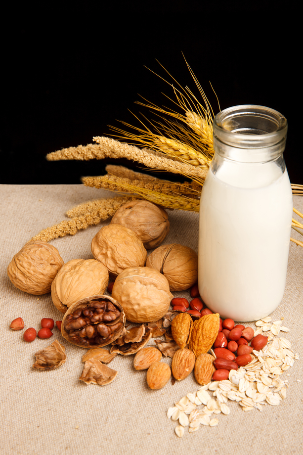 坚果和牛奶 坚果和牛奶