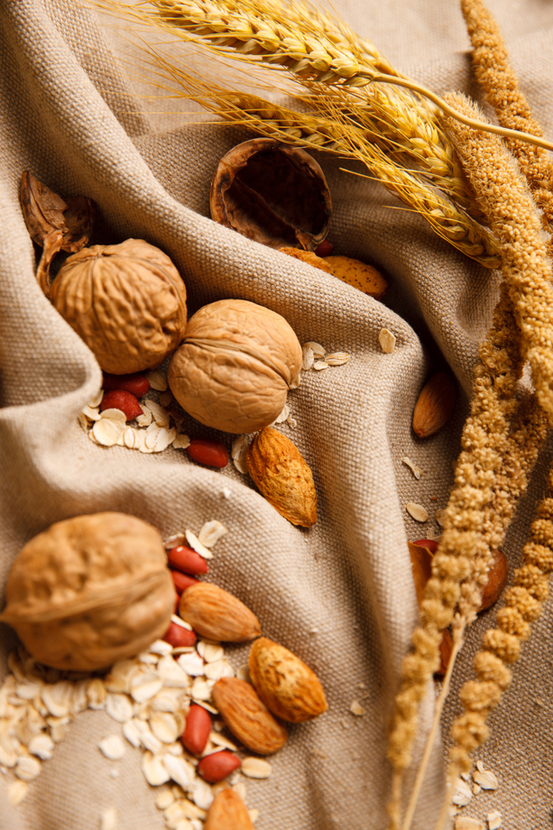 各种坚果图片 各种坚果图片