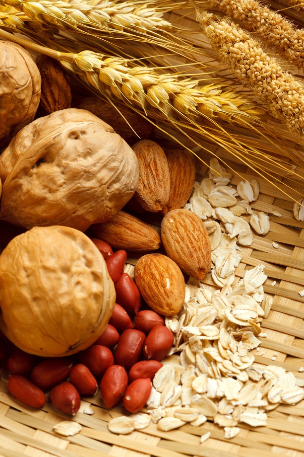 各种坚果 各种坚果