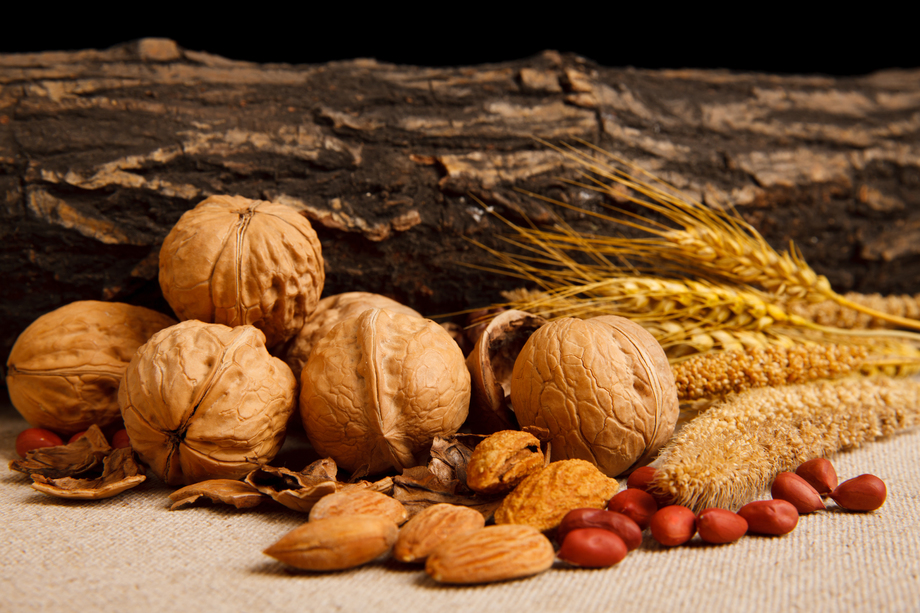 各种坚果 各种坚果