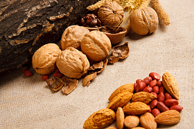 各种坚果