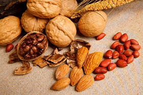 各种坚果图片
