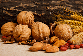 各种坚果图片