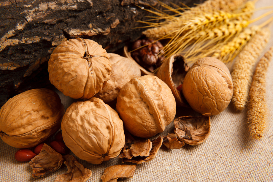 各种坚果 各种坚果