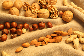 静物坚果图片