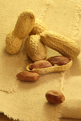 静物坚果花生图片