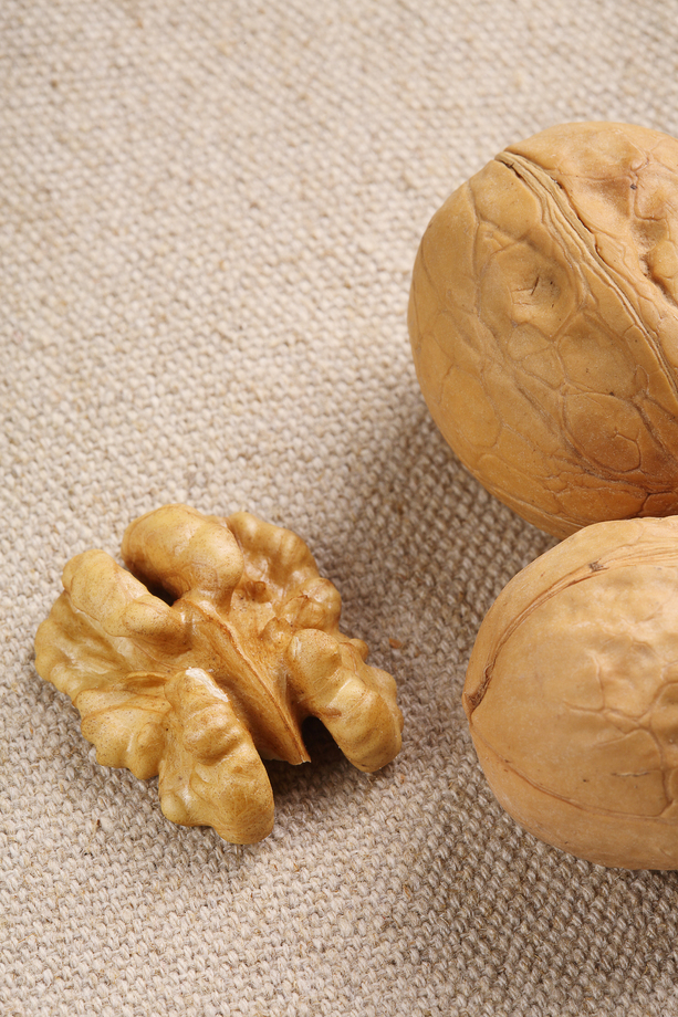 静物核桃核桃仁图片 静物核桃核桃仁图片