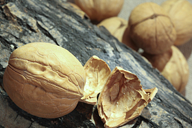 静物核桃核桃仁图片