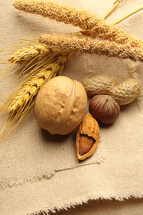 静物坚果麦穗照片